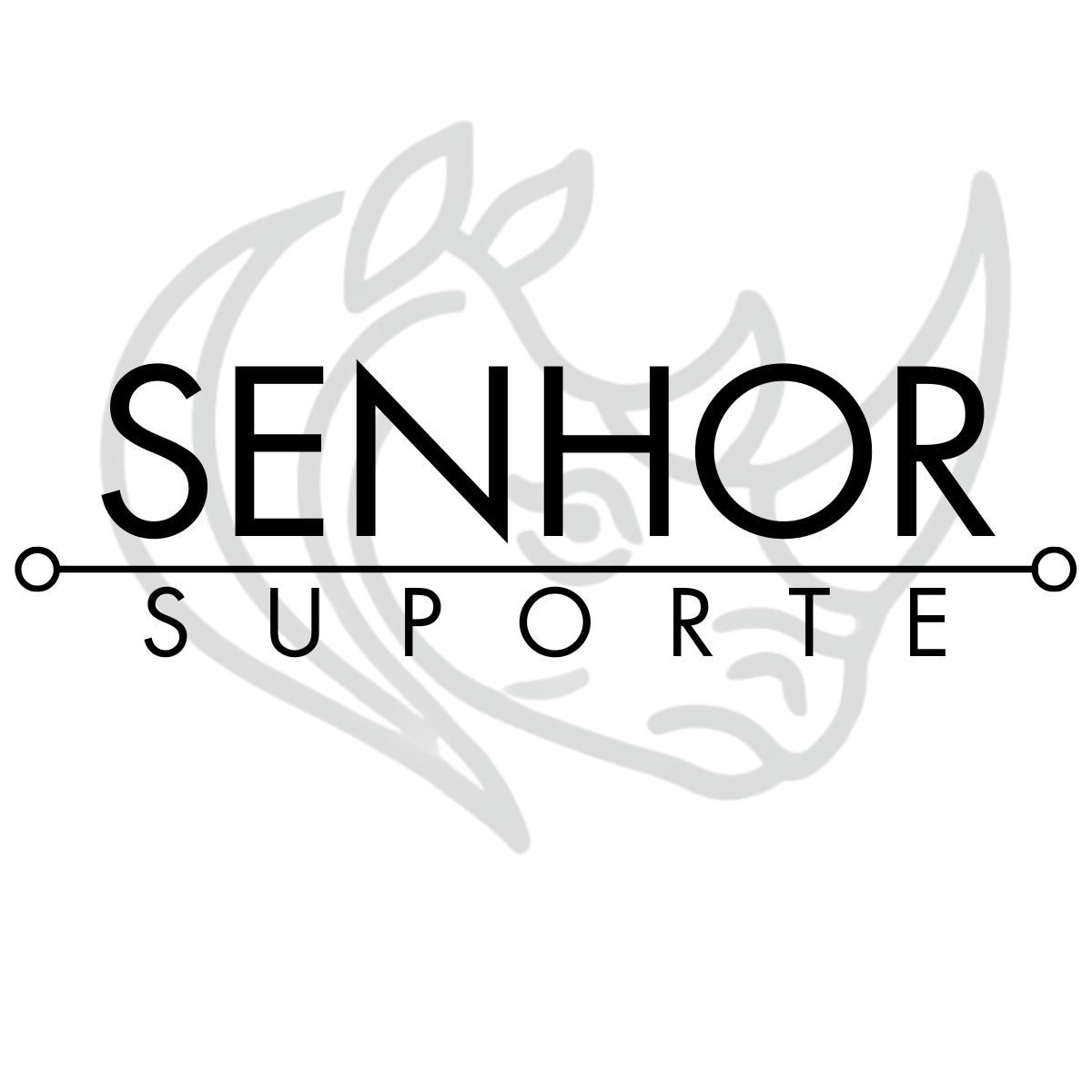 Fundador Senhor Suporte